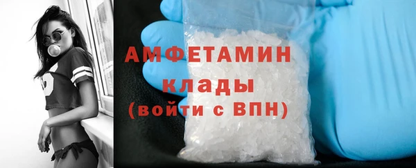 ПСИЛОЦИБИНОВЫЕ ГРИБЫ Заволжье
