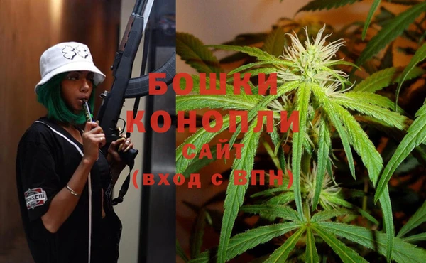 соль ск Богородицк