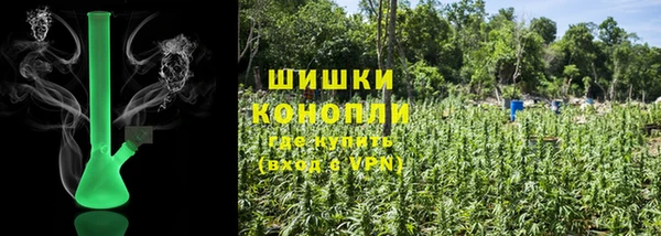 соль ск Богородицк