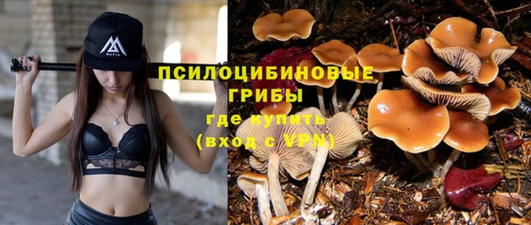 дживик Сатка