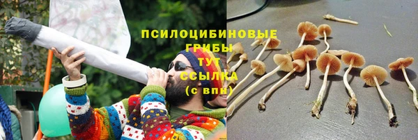 твердый Богородск