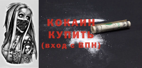 твердый Богородск