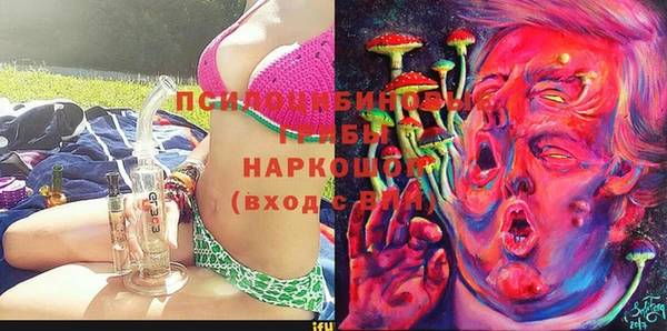 прущая мука Саяногорск